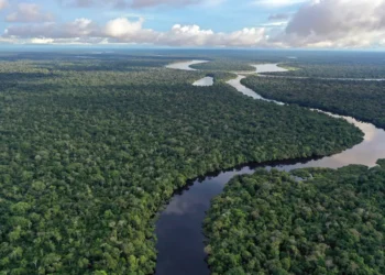 Amazônia estava 3,3 milhões de hectares abaixo da média para área de águas superficiais no bioma em 2023. — Foto: Getty Images